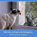 ���� ������, ��� - ��������� 24 ������� 2015 � ������ ������ ��������