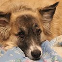 ���� ���������, ������, 75 ��� - ��������� 25 �������� 2015 � ������ ���� ����������