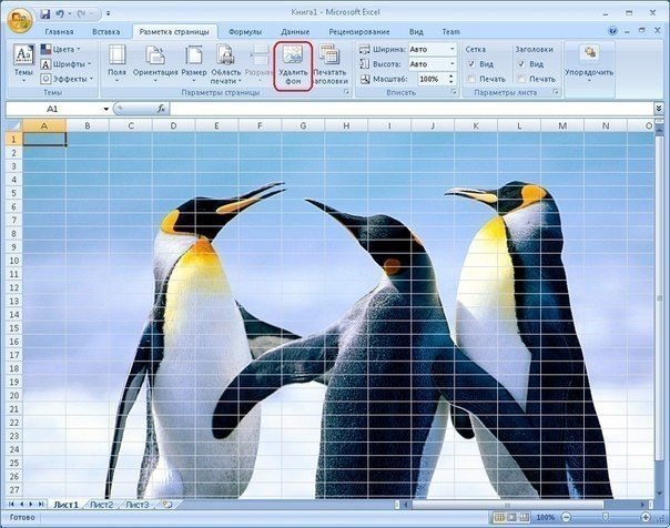 Excel  : 8  .Microsoft Excel, ,     ...