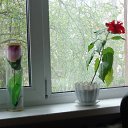 ���� Grigori Cotlobulatov, ������, 63 ���� - ��������� 10 ������ 2015 � ������ ������ ��������