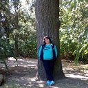 ���� �������, ������ - ��������� 21 ������� 2015 � ������ ���� ����������