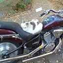 ���� �����, �������, 71 ��� - ��������� 22 ������� 2015 � ������ ���� ����������