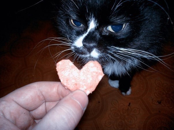 �� 14 ������� ������ �������� �� ������� � ������ �������� ����.