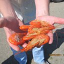 ���� ��������, ������-��-����, 64 ���� - ��������� 16 ������ 2016