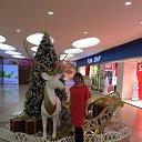 ���� �������, ��������, 47 ��� - ��������� 3 ������ 2016 � ������ ���� ����������