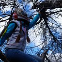 ���� ���, �����, 29 ��� - ��������� 17 ������ 2015 � ������ �������