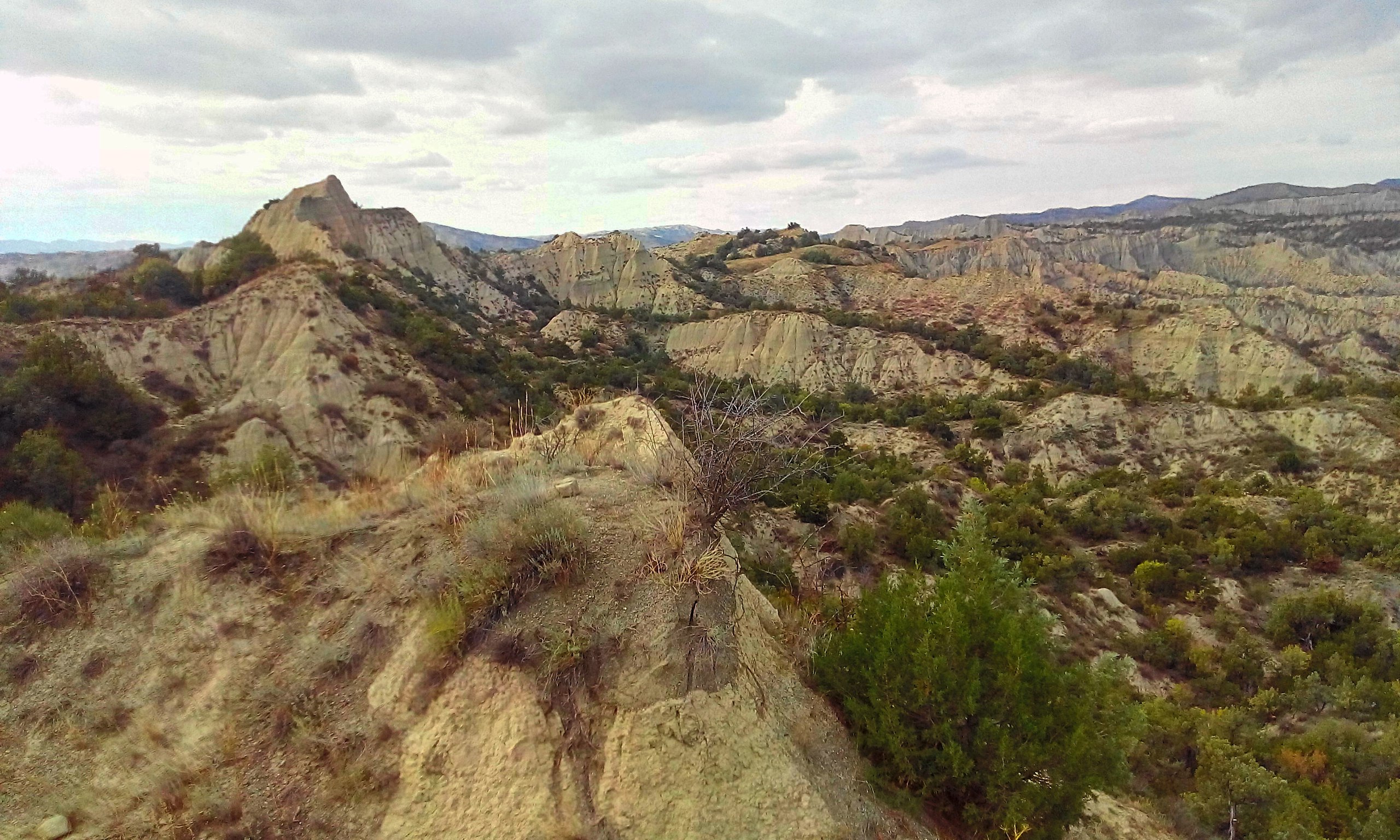 Alesilebi ravines in Vashlovani protected area (Georgia, Kakheti region) - 2