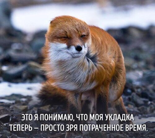   - 27  2016  13:48