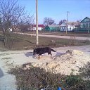 ���� �����, ������������, 47 ��� - ��������� 20 ������ 2015 � ������ ���� ����������