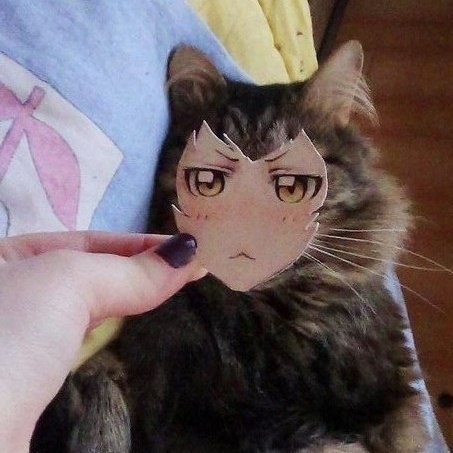 ,  .   .