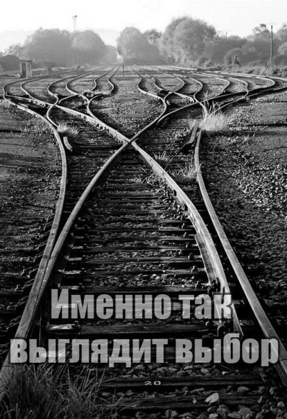    :D - 24  2016  03:42