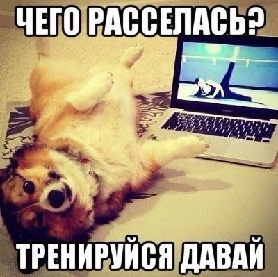 SportFeed - 29  2016  17:24