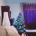 ���� �����, ���������, 34 ���� - ��������� 16 ������ 2016 � ������ ���� ����������