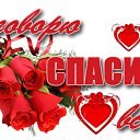 ���� ����, �������, 55 ��� - ��������� 8 ����� 2016 � ������ ������ ��������
