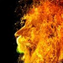 ���� �������, ������, 48 ��� - ��������� 31 ������� 2015