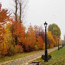 ���� �����, �����, 64 ���� - ��������� 9 ������ 2015 � ������ ��������� ����. 25.10.2015�