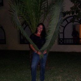 �������, �����������, 56 ���