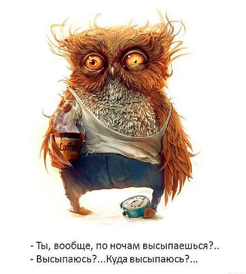   - 5  2015  19:13
