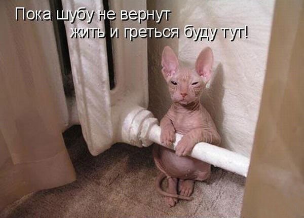 ��� ���� - 25 ������� 2015 � 13:54