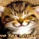 ���� ������, ������ - ��������� 8 ������� 2016 � ������ ������ ��������