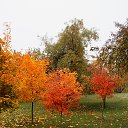 ���� �����, �����, 64 ���� - ��������� 9 ������ 2015 � ������ ��������� ����. 25.10.2015�