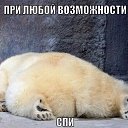 ���� ��������, ���������, 59 ��� - ��������� 6 ������ 2016 � ������ ���� ����������
