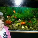 ���� Nataly, ��������� - ��������� 13 ������� 2015 � ������ ���������� ������