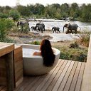 ���� Aleks, ����� ������� - ��������� 13 ������� 2015 � ������ �Elephants�