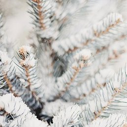 ���� �������, �������� - ��������� 29 ������ 2015