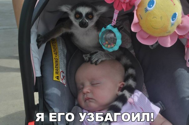    :D - 7  2016  10:34