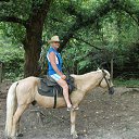 ���� Sheriff, ������� - ��������� 25 �������� 2015 � ������ ���� ����������