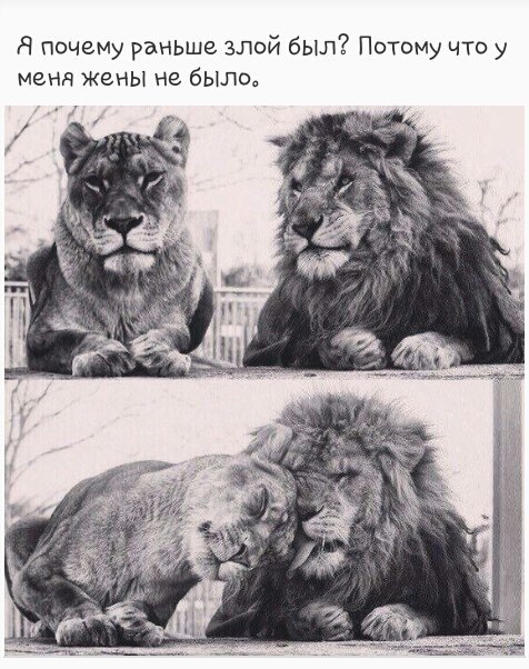   <a href=