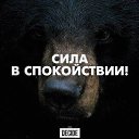 ���� �������, �����������, 40 ��� - ��������� 14 ������� 2015