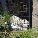 Sergey, , 63  -  3  2015    2015