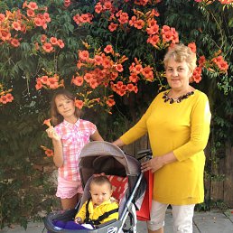 ������, ����, 67 ���