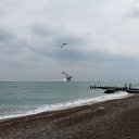  , , 60  -  25  2015   24.10.15.  ,.