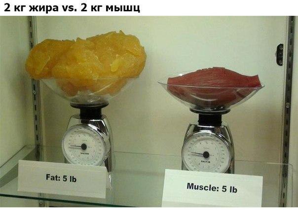 Интересные фотографии, которые вы, возможно, не видели. - 7