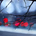 ���� Aurinko, ��������� - ��������� 4 ������ 2015 � ������ ������ ��������