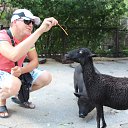 ���� �������, �������� ���, 40 ��� - ��������� 27 �������� 2015