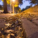 ���� ������, ��������, 103 ���� - ��������� 1 ������ 2015 � ������ ����-����. ������� 2015.�