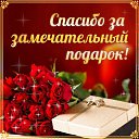 ���� ����, �����-���������, 52 ���� - ��������� 6 ������� 2015 � ������ �������� ��������