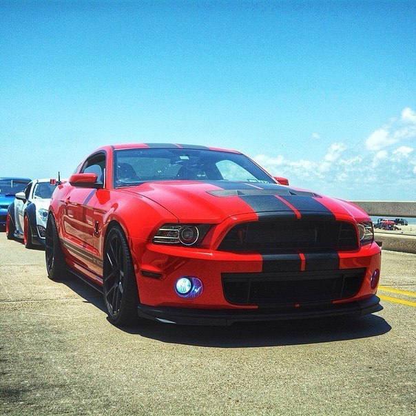  https://fotostrana.ru/away?to=/sl/KiI2 Green 2013 Turbo Boss 302  Mustang Red 2012 GT 500. - 8