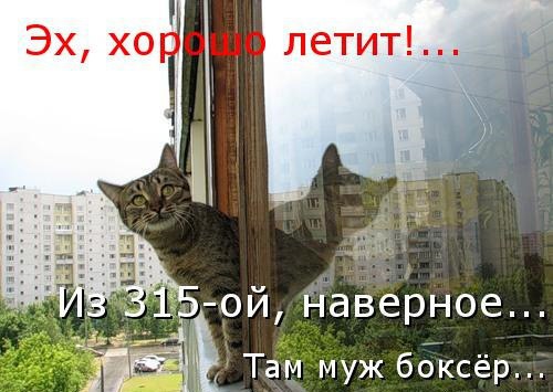       - 25  2015  00:30