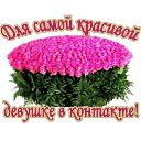 ���� ������, ����, 46 ��� - ��������� 19 ������� 2015 � ������ ���� ����������