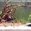 ���� ������, ������, 59 ��� - ��������� 26 ������ 2015 � ������ ���� ����������