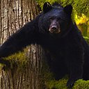 Фото Vlad, Сочи, 54 года - добавлено 24 ноября 2015