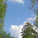 ���� �����, �������� - ��������� 25 ������ 2015 � ������ ����� ����� ������.�