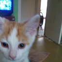���� Leonidas Rusak, �������, 35 ��� - ��������� 10 ������ 2015 � ������ ���� ����������