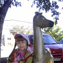 ���� ����, ���������, 43 ���� - ��������� 10 ������ 2015 � ������ ���� ����������