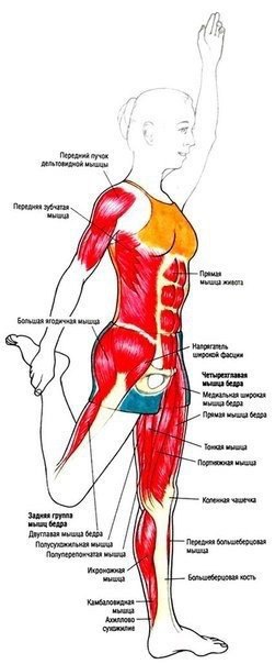  .  #@fitness.blog - 10